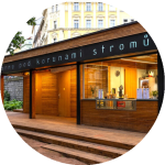 Moderní dřevěná kavárna s velkými okny a černým nápisem "Kavárna pod korunami stromů" se nachází v ulici lemované stromy a v pozadí stojí historické budovy.