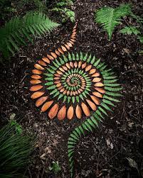 Spirálovitý vzor na lesní půdě ze střídajících se oranžových listů a zelených lístků kapradí, obklopený půdou a přírodní zelení.