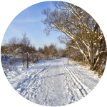 Zasněžená cesta lemovaná holými stromy pod jasně modrou oblohou, na níž sluneční paprsky vrhají stíny. Podél cesty jsou vidět stopy po lyžích nebo saních, které vytvářejí poklidnou zimní scénu.