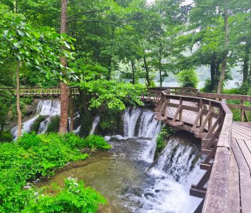 Jajce1