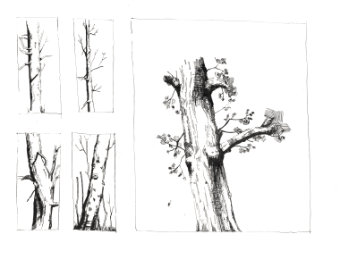 Detail / Maxim Zabolotnov